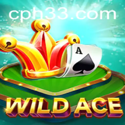 Unveiling WildAce: The Thrilling Adventure Game with PH 33 Mechanics